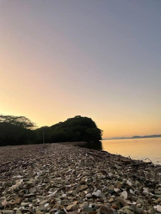 Vila Magica Cabana En Medio Del Bosque En Isla Venado Lepanto Exteriér fotografie